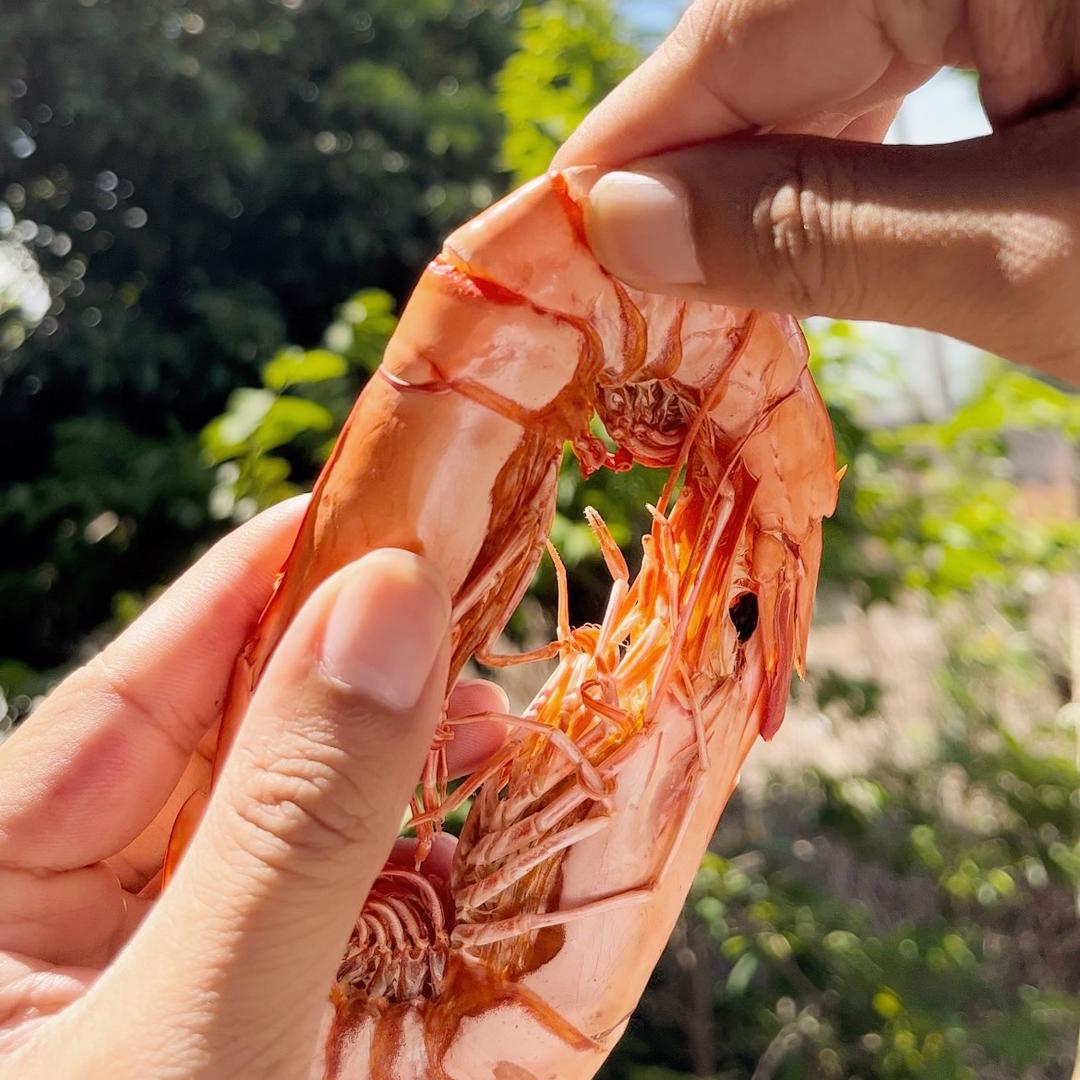 渔舟放歌海鲜甄选