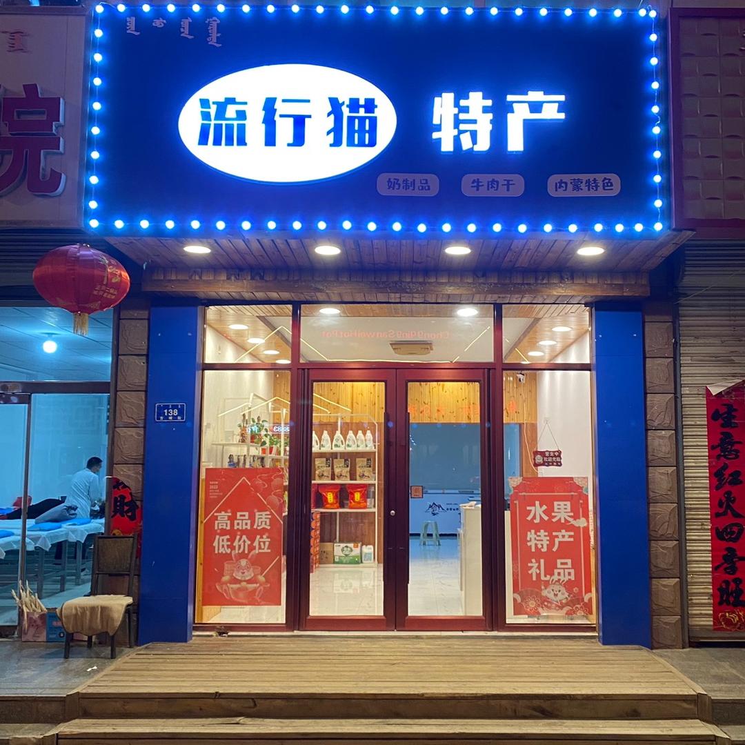 乌丹流行猫鲜花