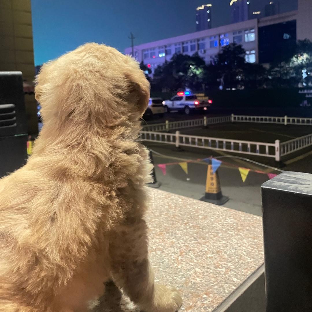 走在取经路上的王公子🌞