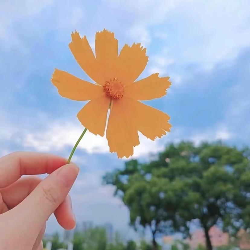 熙~