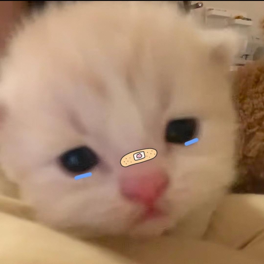 世界对我好一点