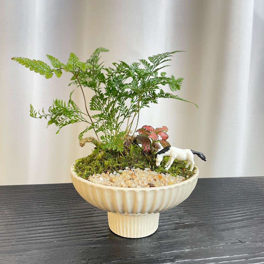 花漾时光HUAYANGTIME