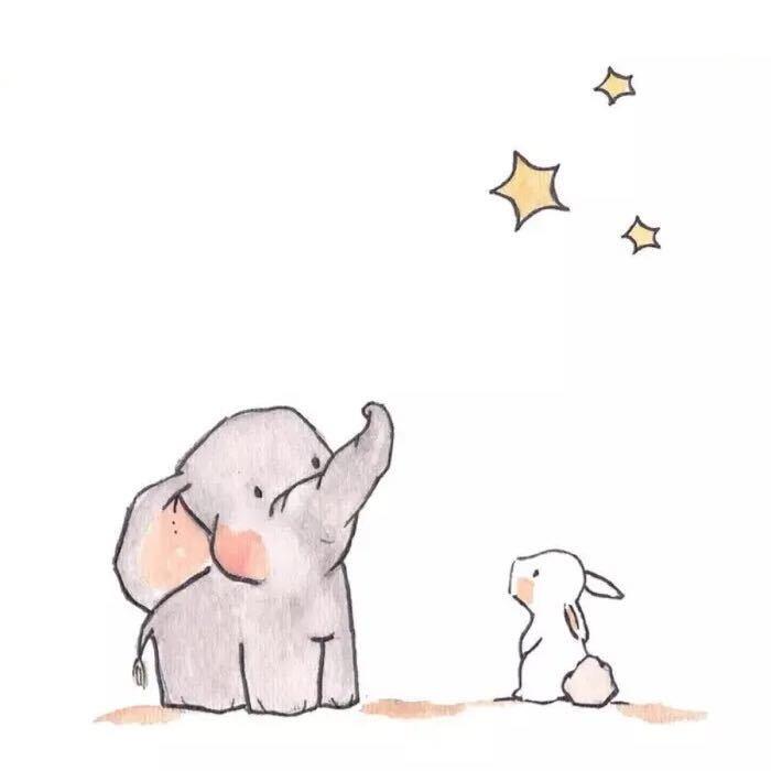 鱼干先生