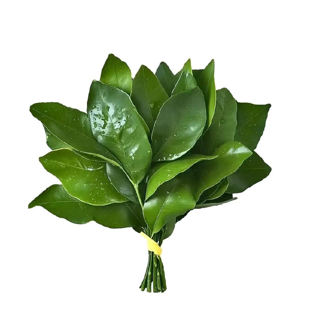 请叫我啦啦啦…