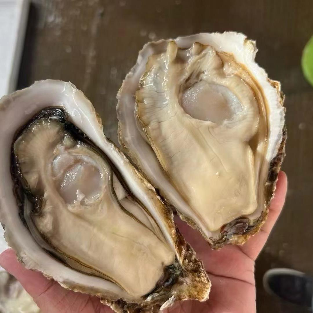 容县精选生耗批发