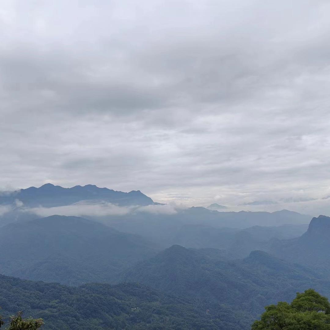 ℳ๓ 半杯冰美式°ꦿ⁵