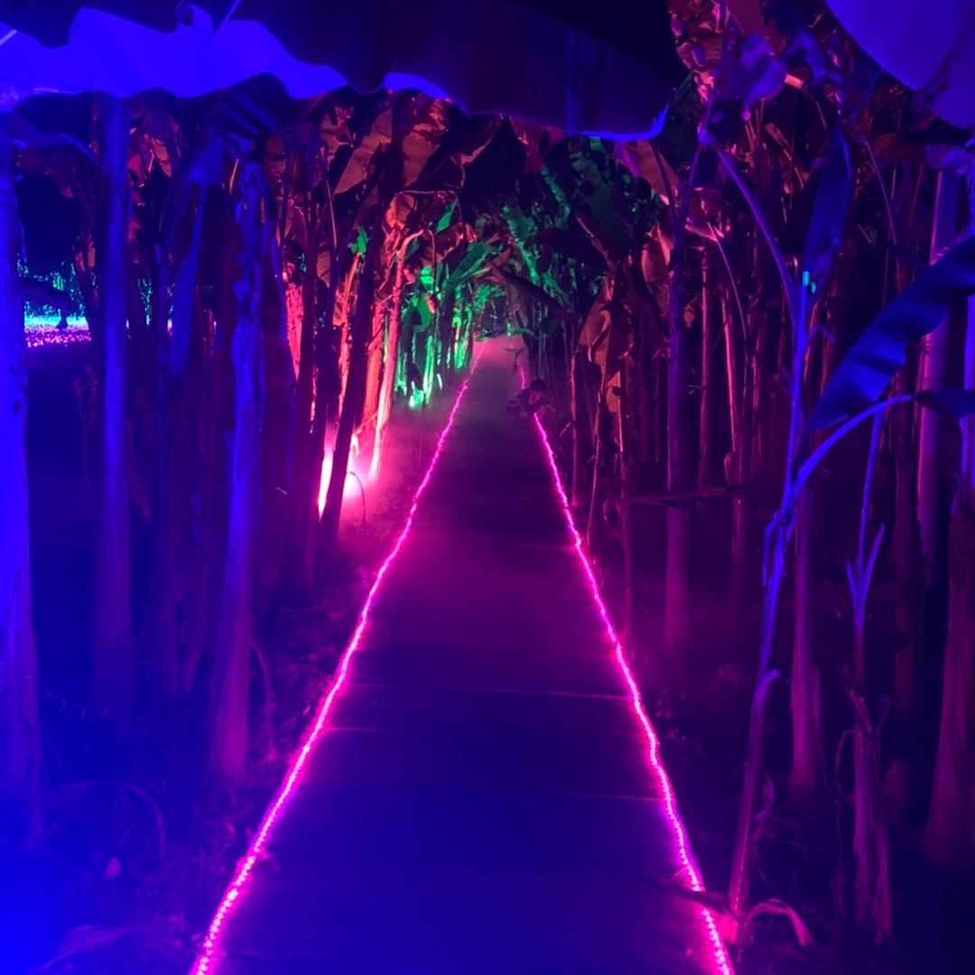 爱在今天