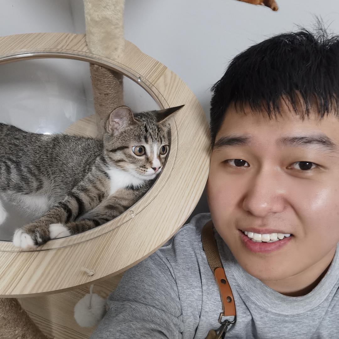 阿臭是只猫