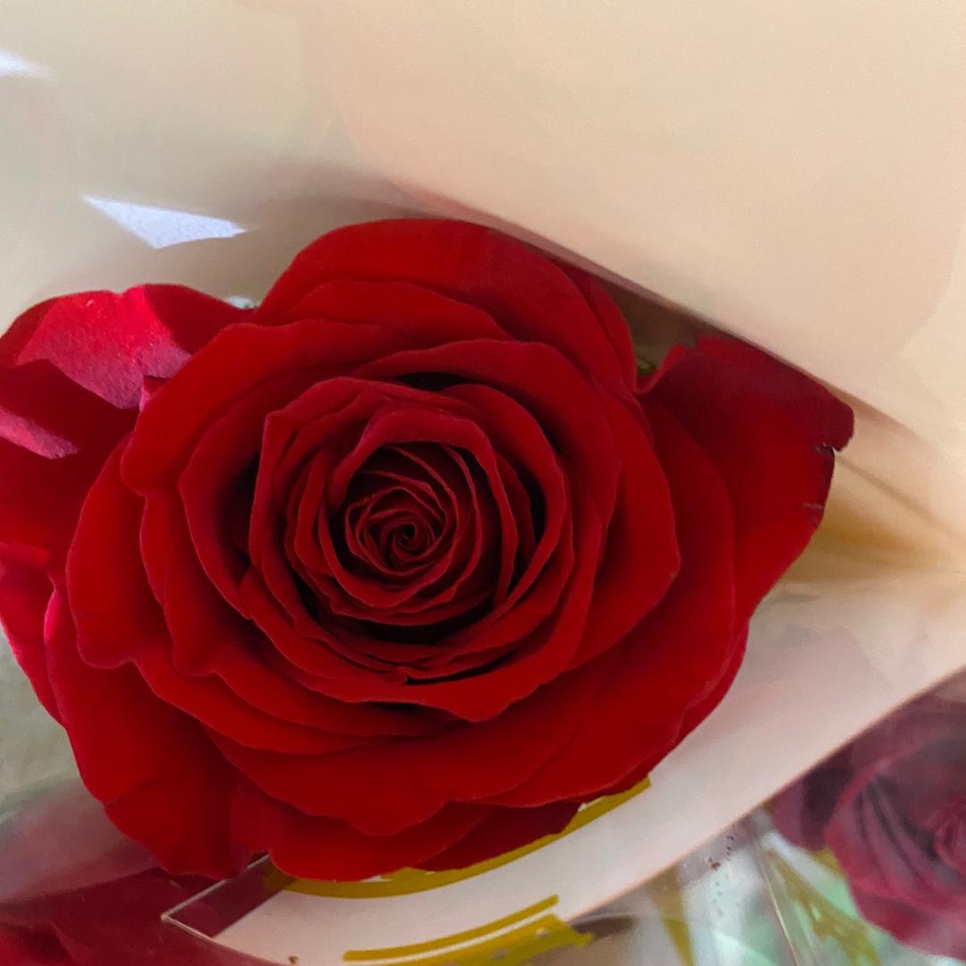 -青山湖鲜花批发−