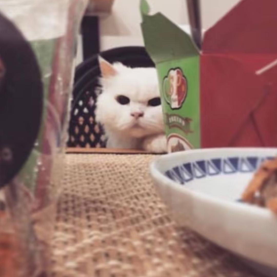 你是唯一