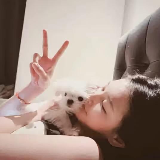 ㅤㅤㅤㅤㅤㅤㅤㅤ.AA