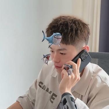 崔时阳
