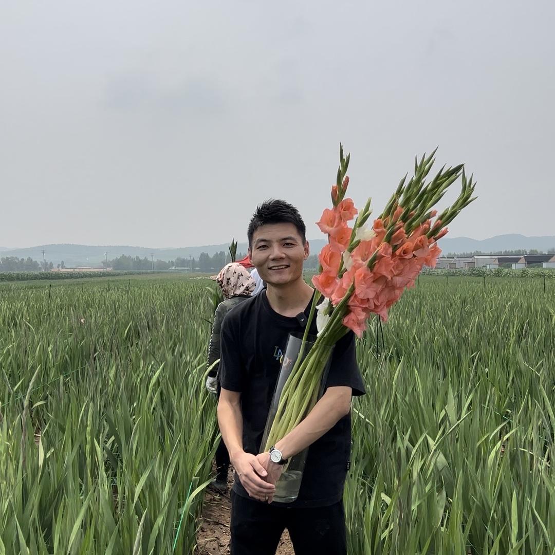 香樟坊不坊小杨杨鲜花