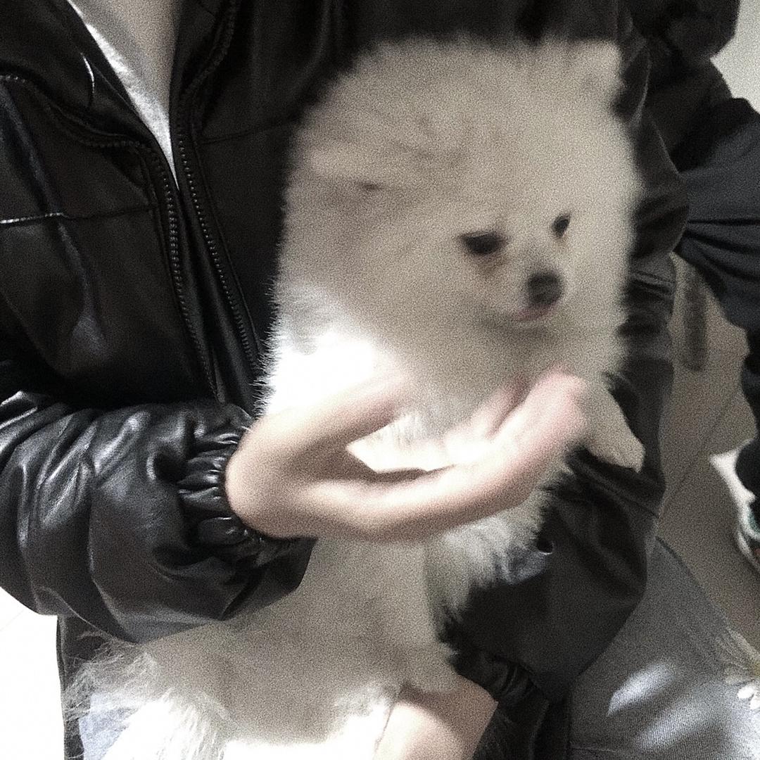 不姜就