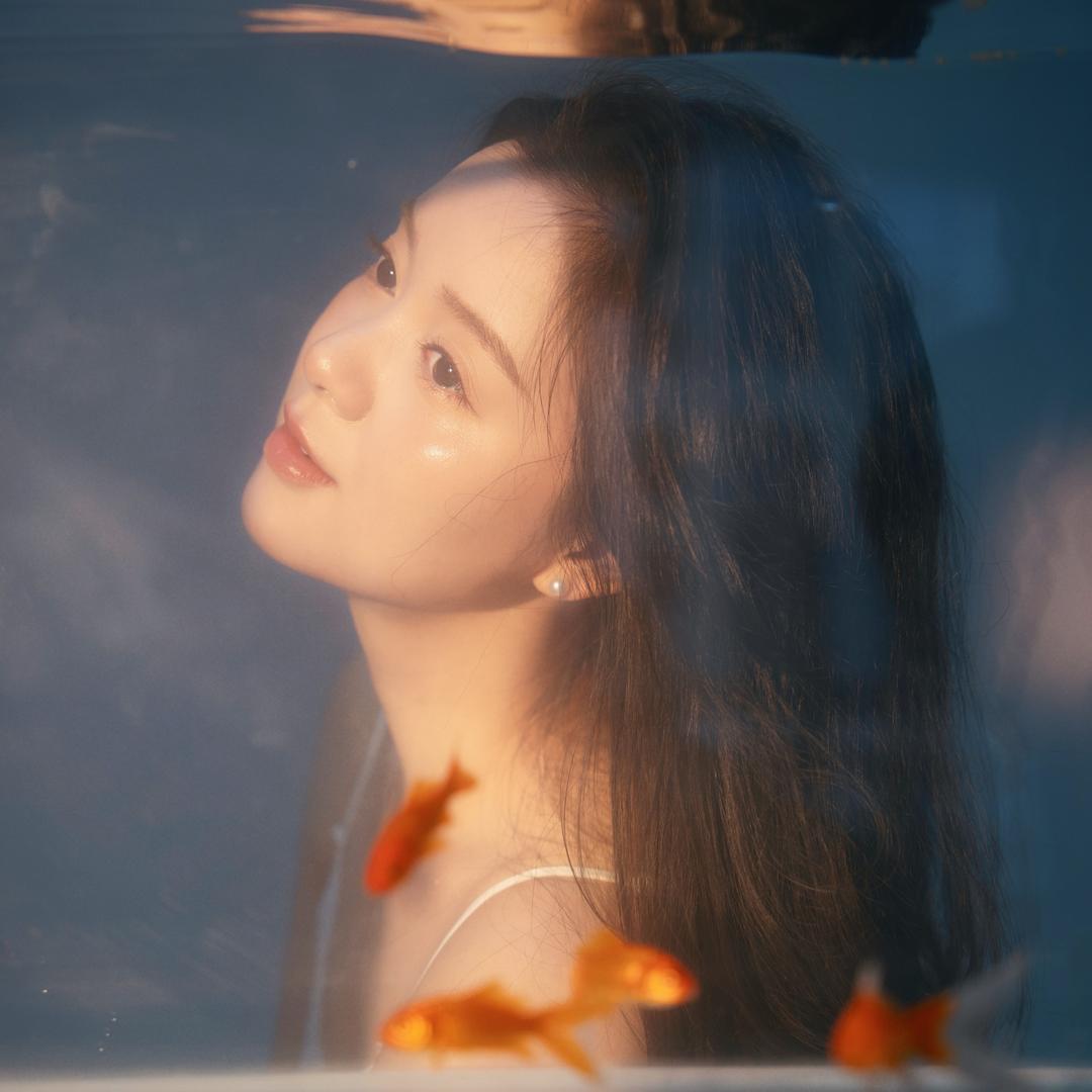 宝蓓儿✨