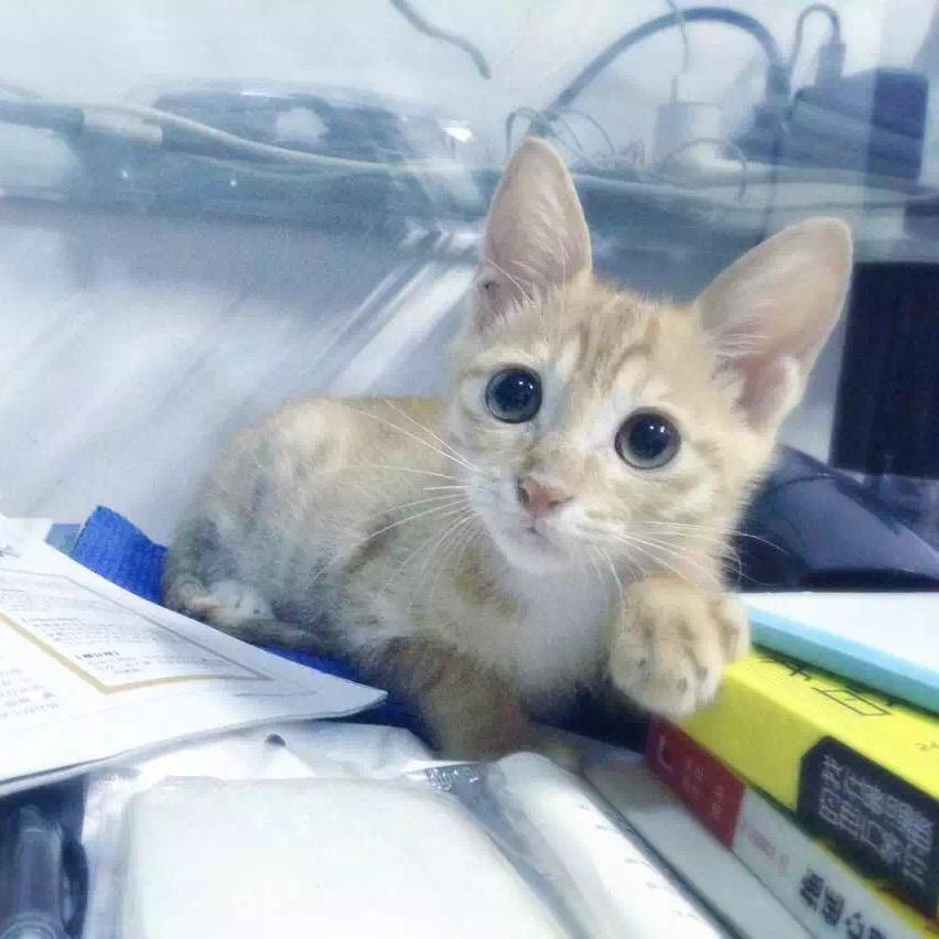 苏格威登量贩式KTV(香芒东路店)官方号