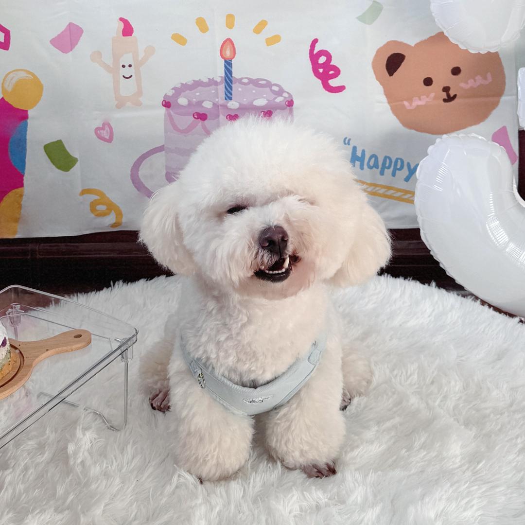 峰峰李爱财愈享店