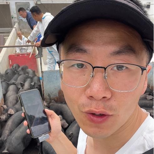 秒卖猪-牙猪要不完