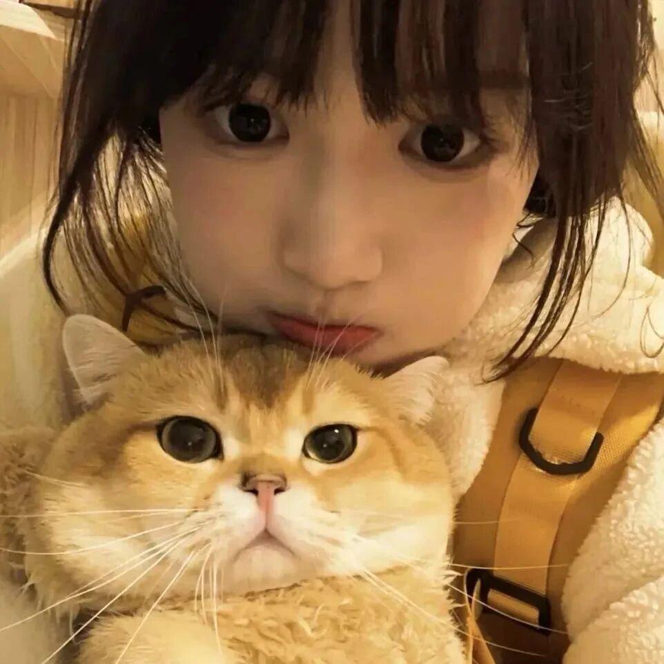 奇怪的人类