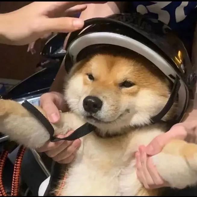 结局了