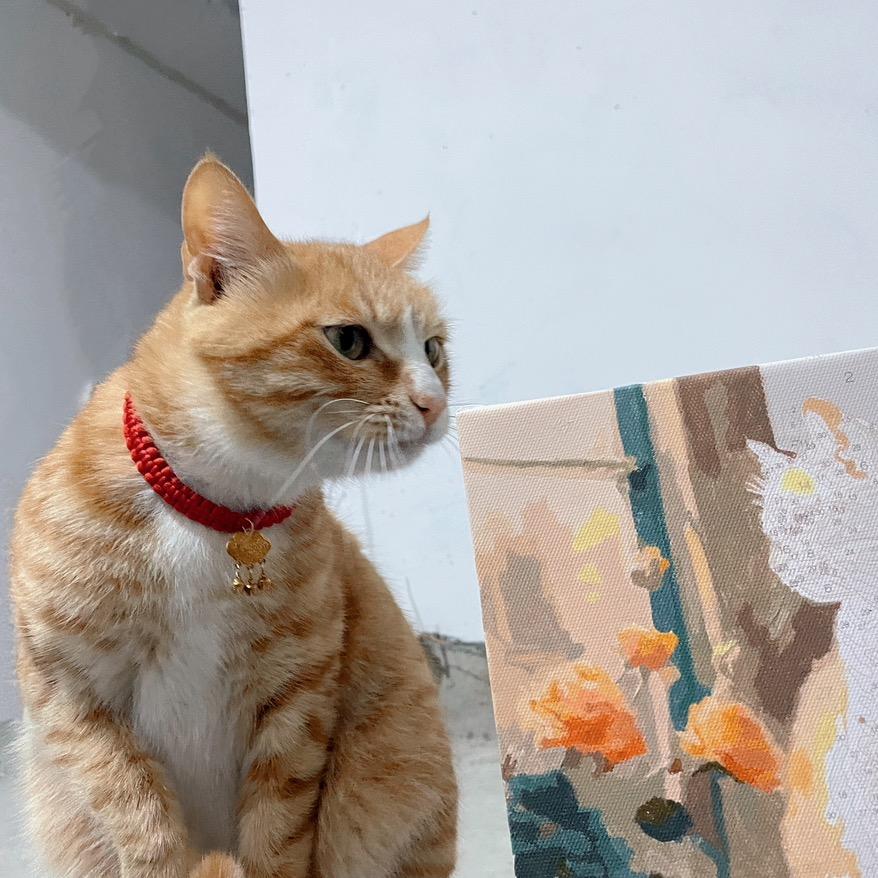 呗呗🐱～
