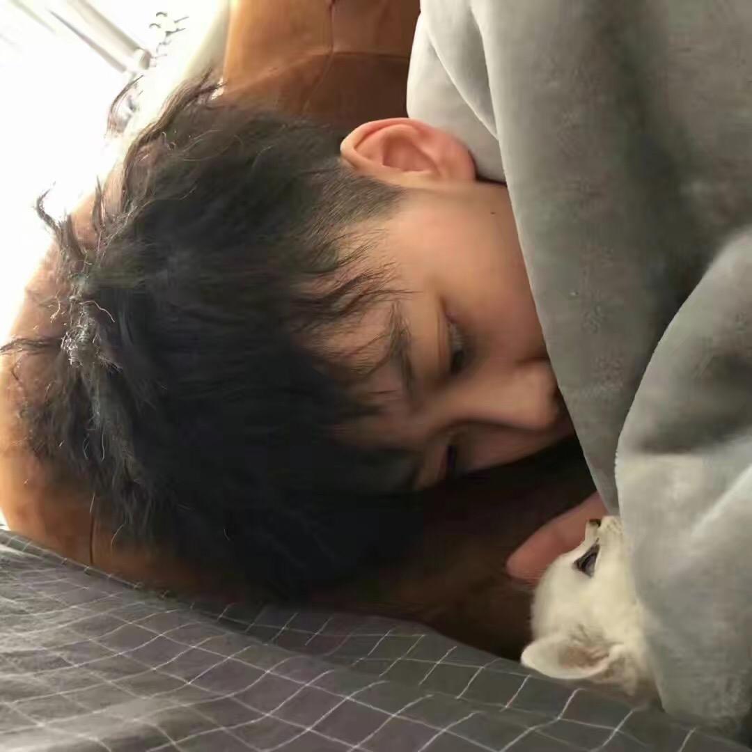 防      、