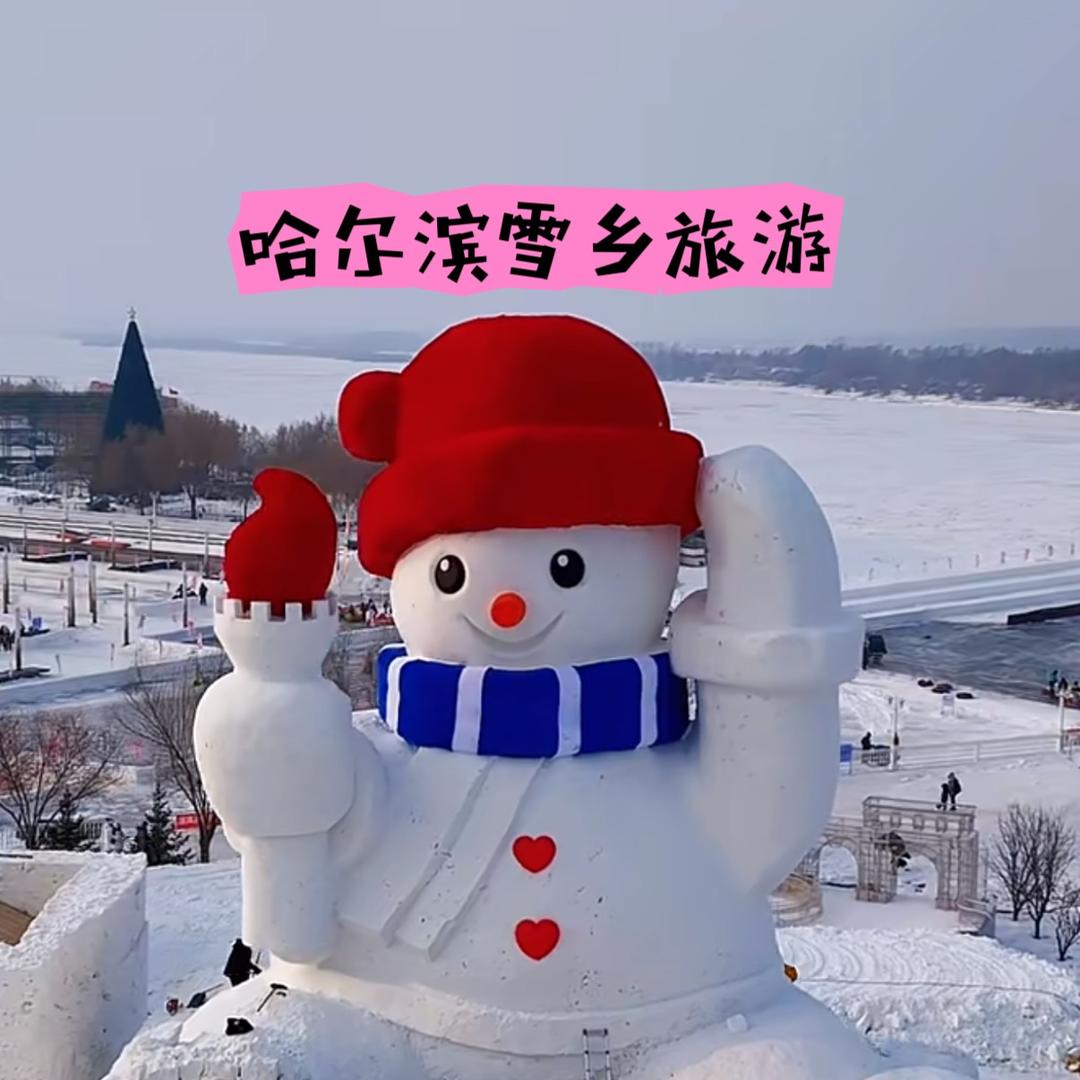 （纯玩雪乡专场）跟着西西看世界