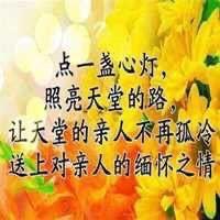 浅殇淡淡月影寒