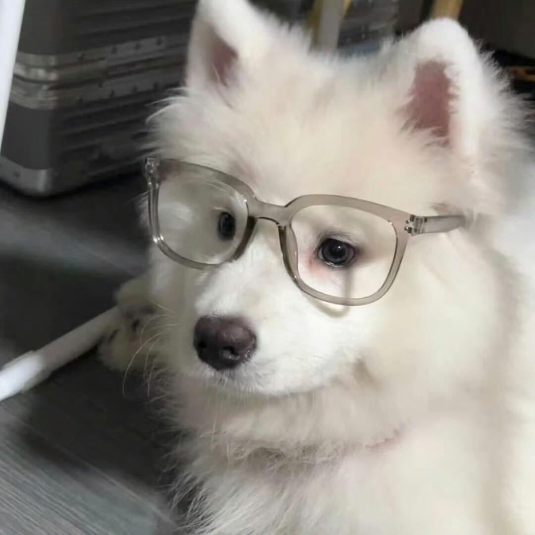 路小雨🐾