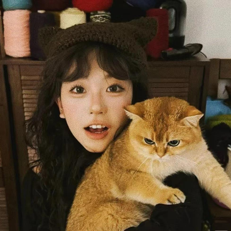 美美ღ³