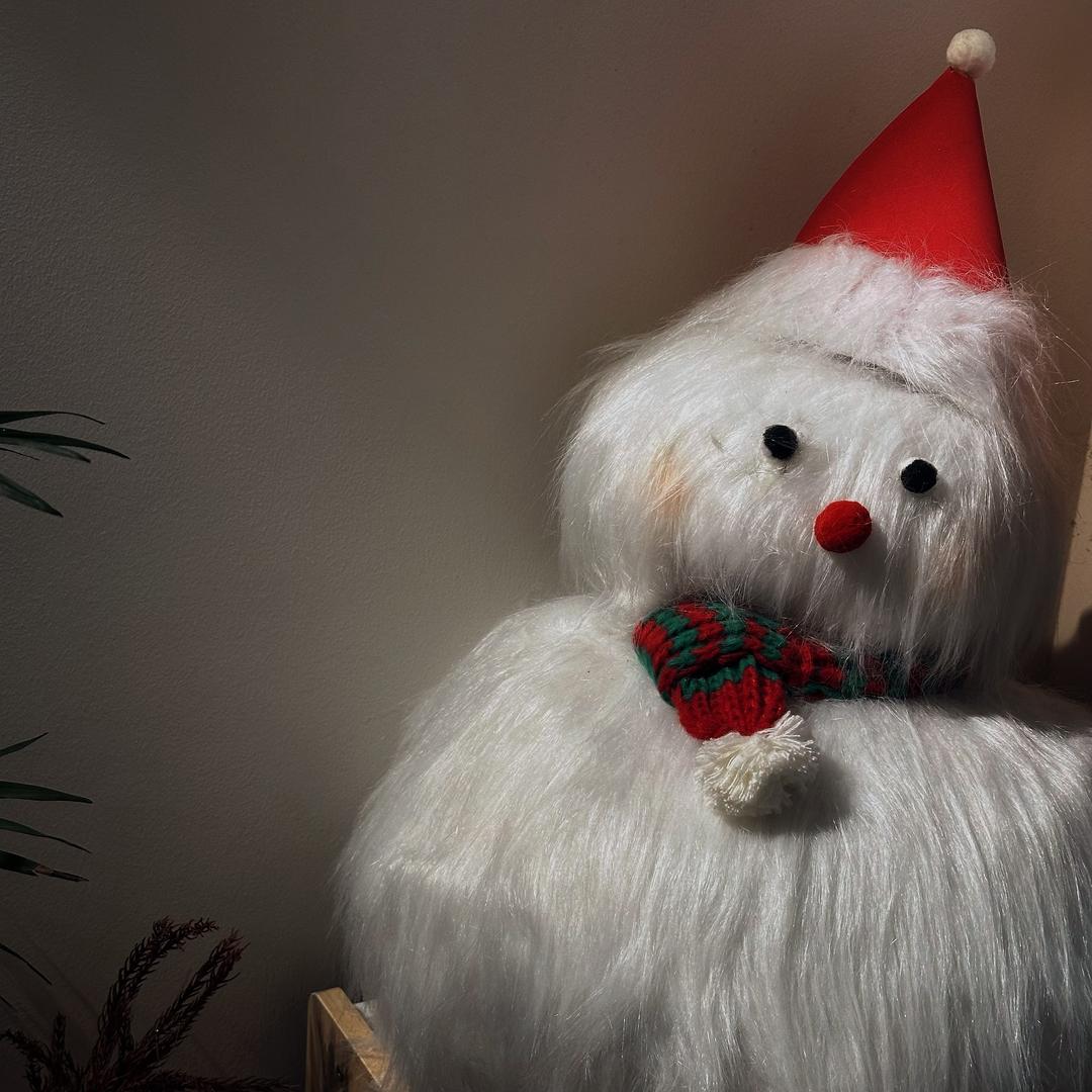 @旺旺好运小福星