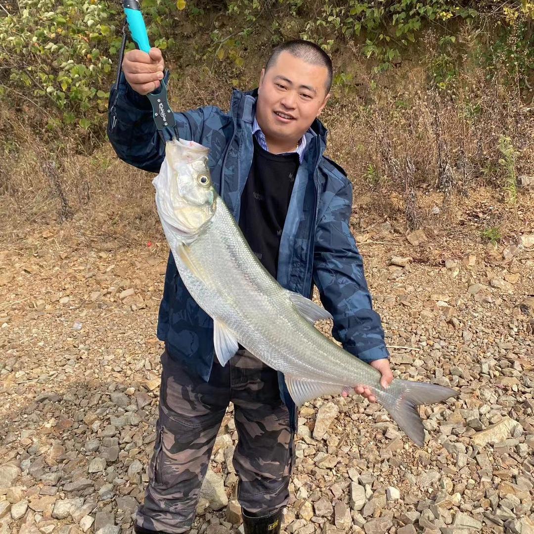🌈西山☞水果茶叶