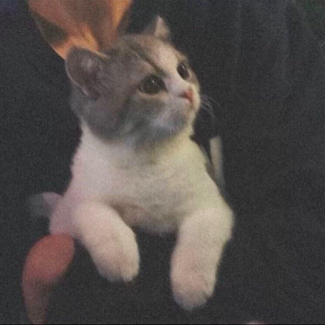 丞丞
