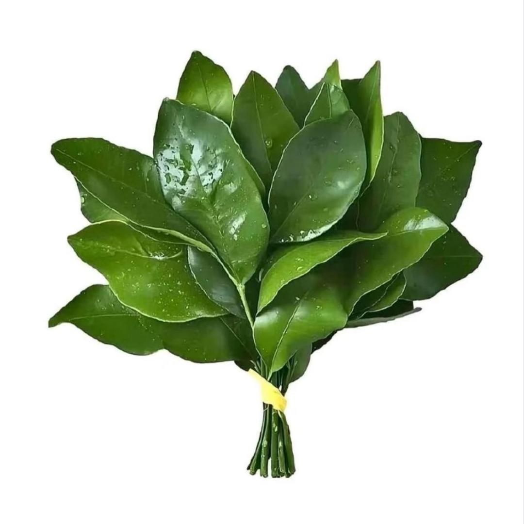 是胖墩墩呀Ծ‸Ծ