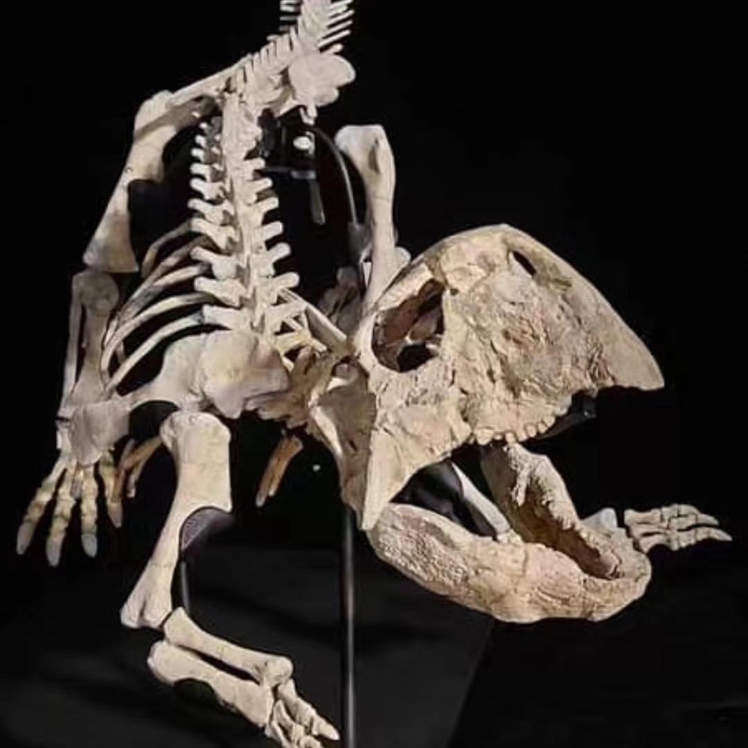 石语菲菲精品装饰摆件