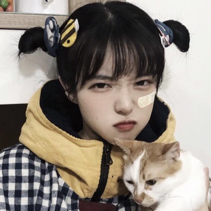 小沐辰
