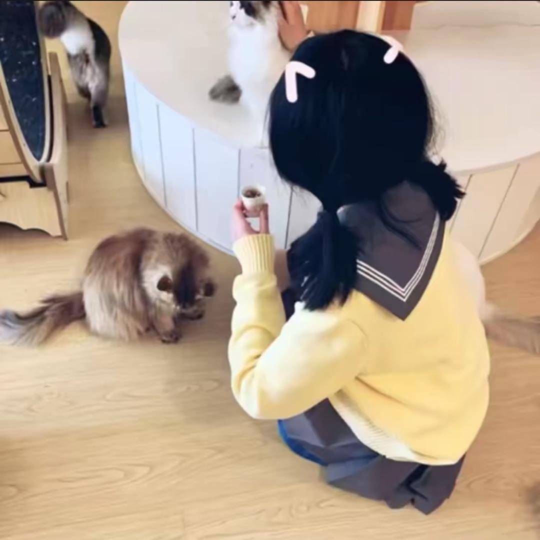 泡泡不早睡