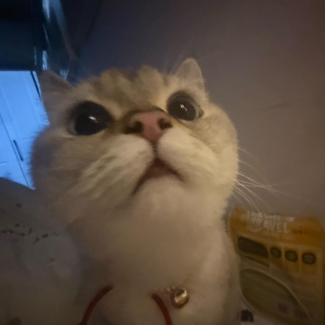 胖虎是个大帅哥