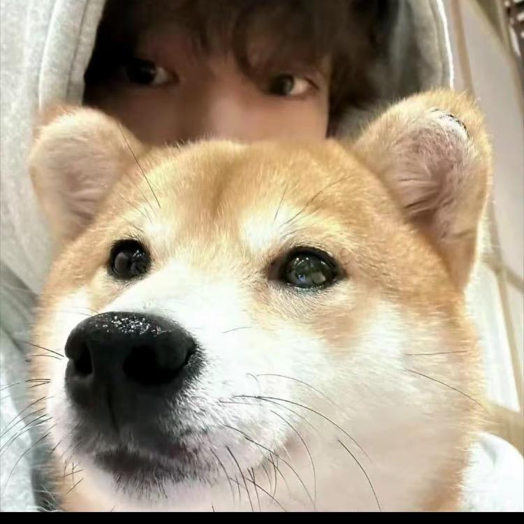 甄选好物,