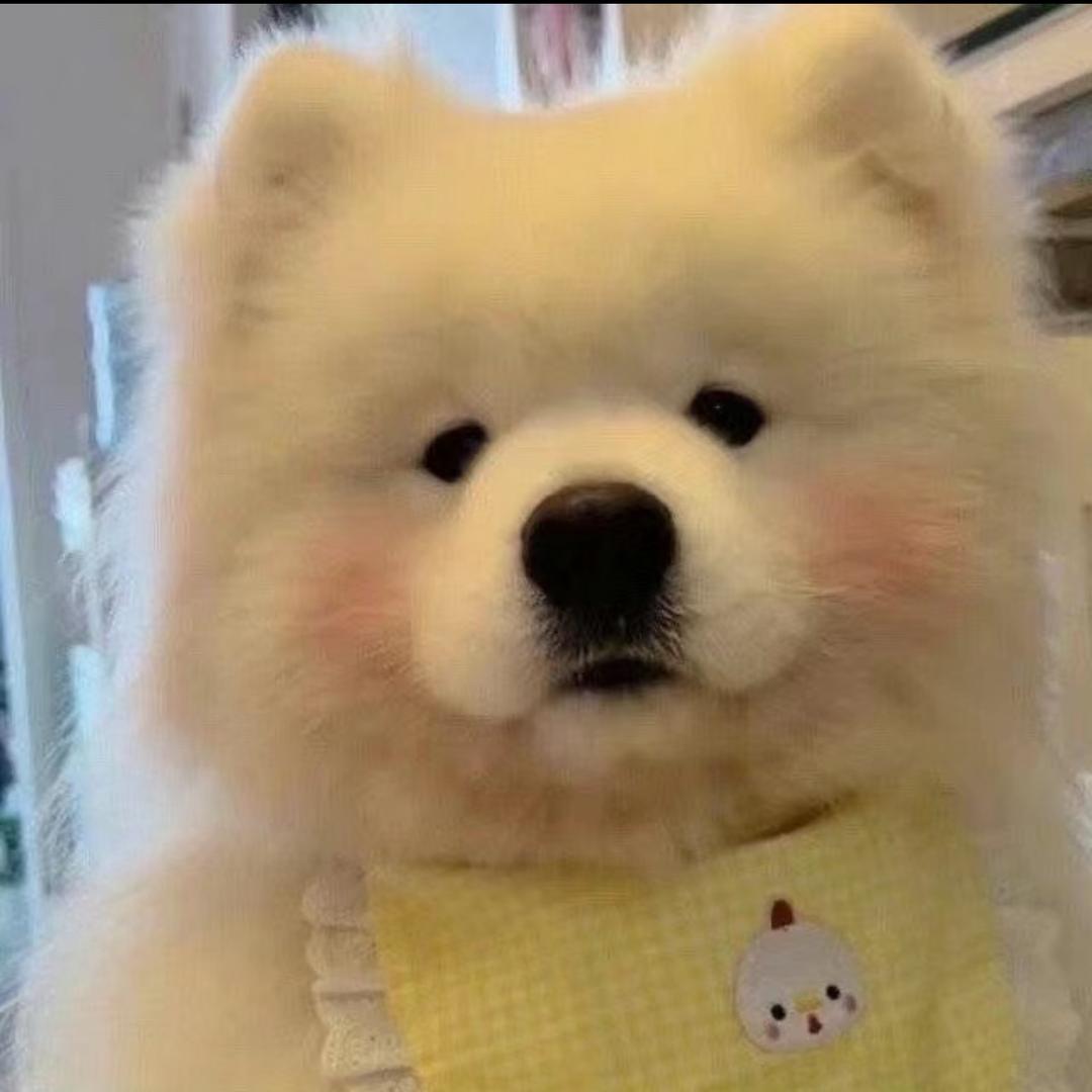 运运来