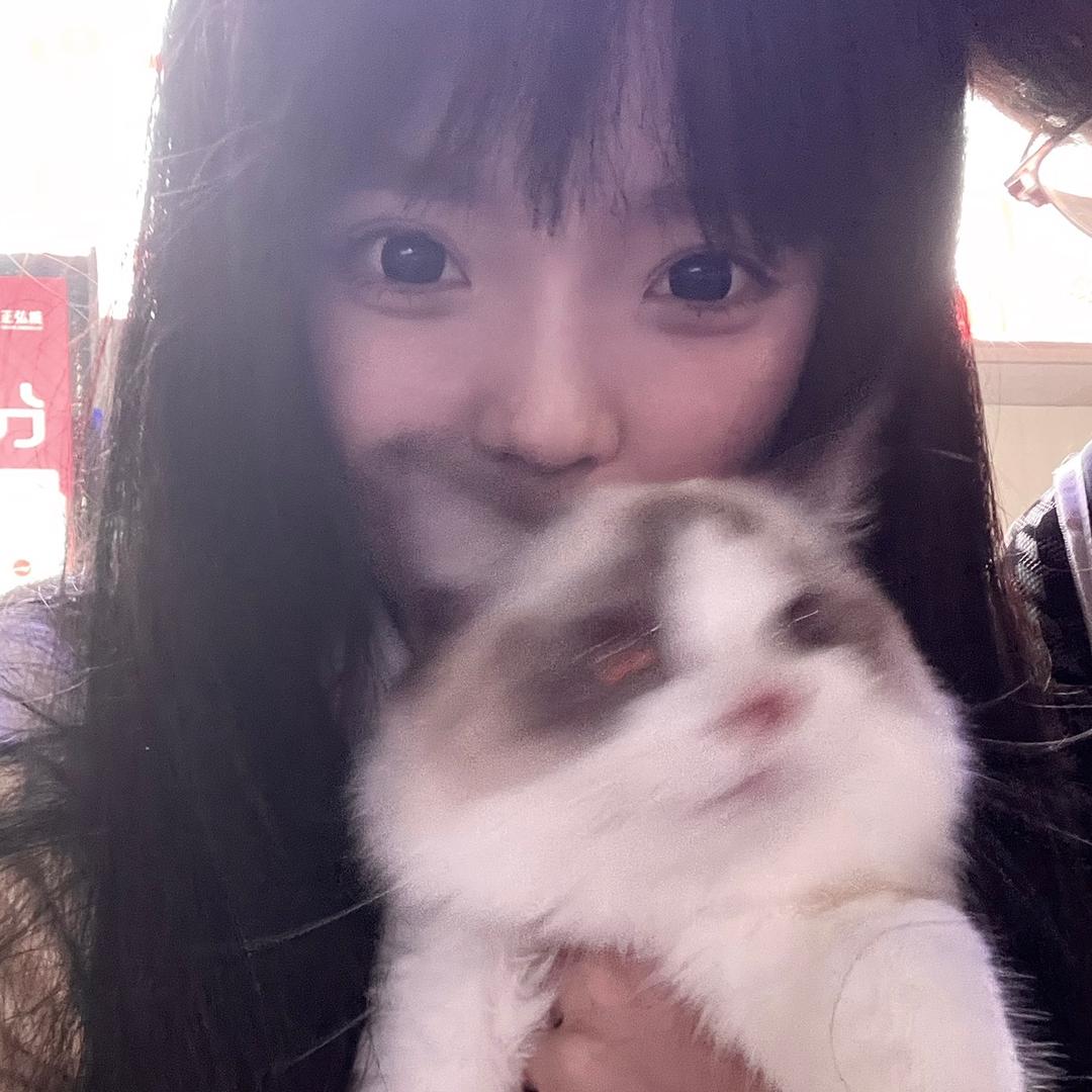 蜡笔小菜、
