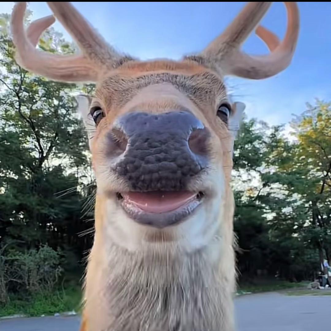 Xx^
