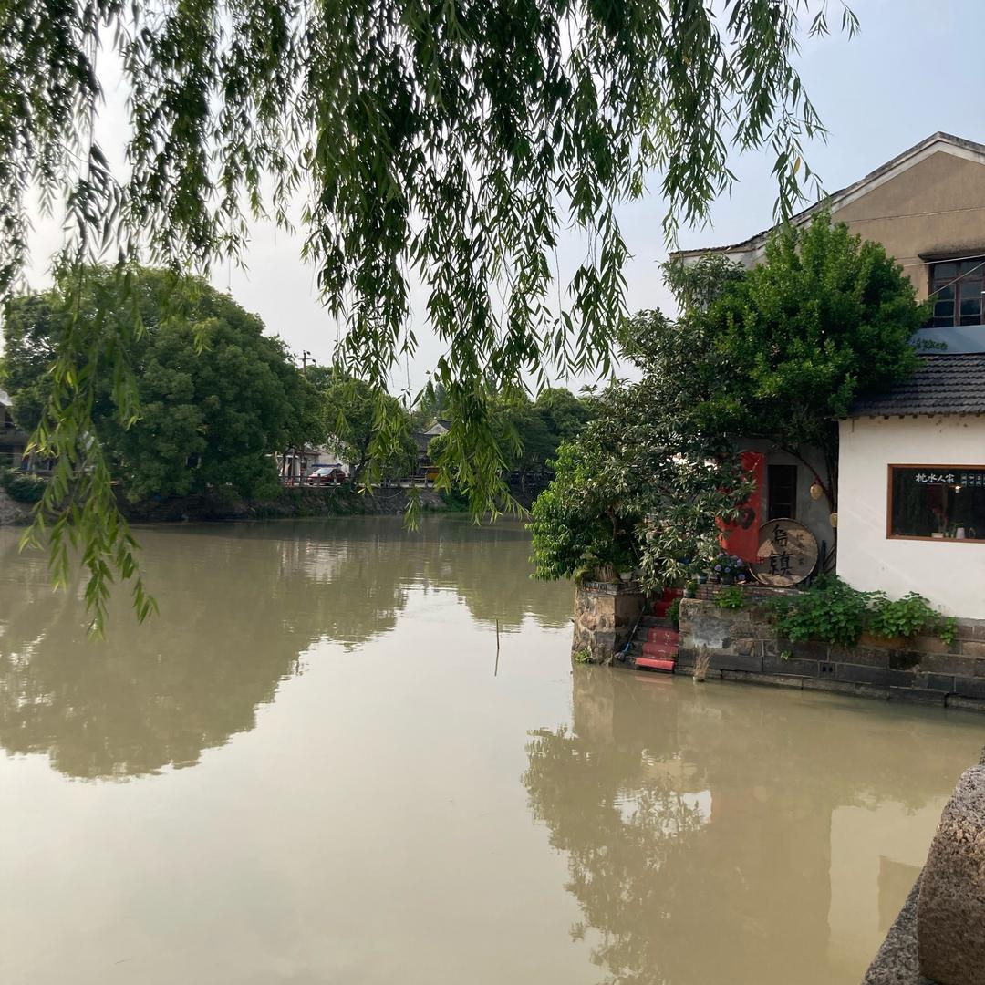 梅子黄时