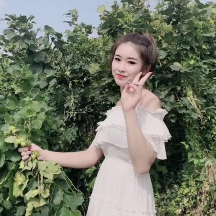 白小何榛子松子