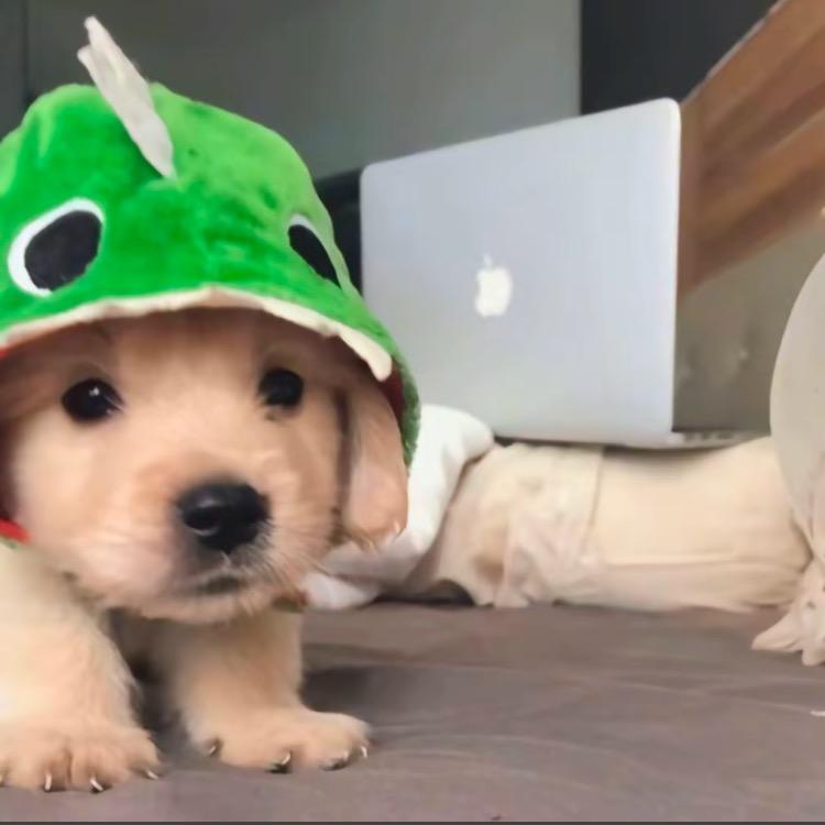 郝邵文生活小超市，