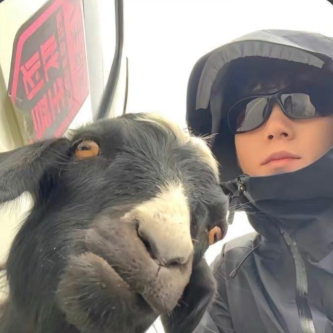 Huuu