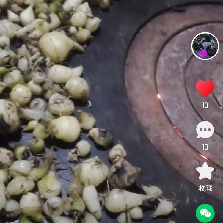 单身一人闯天下