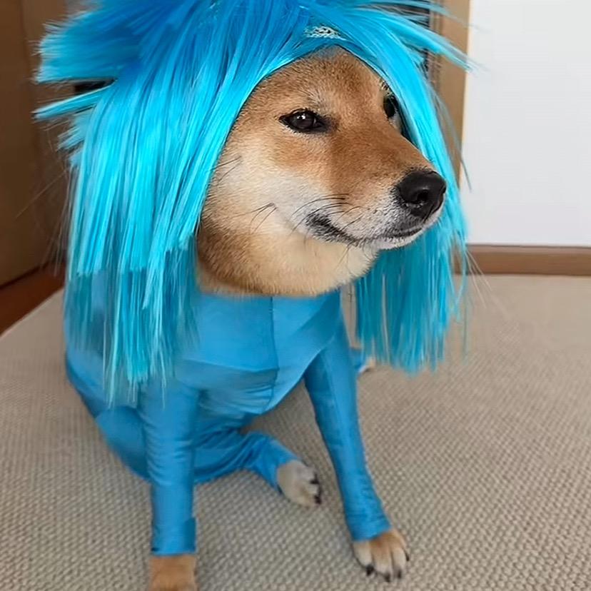 ^喵^