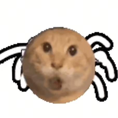 耄耋猫（和平精英，地铁逃生）
