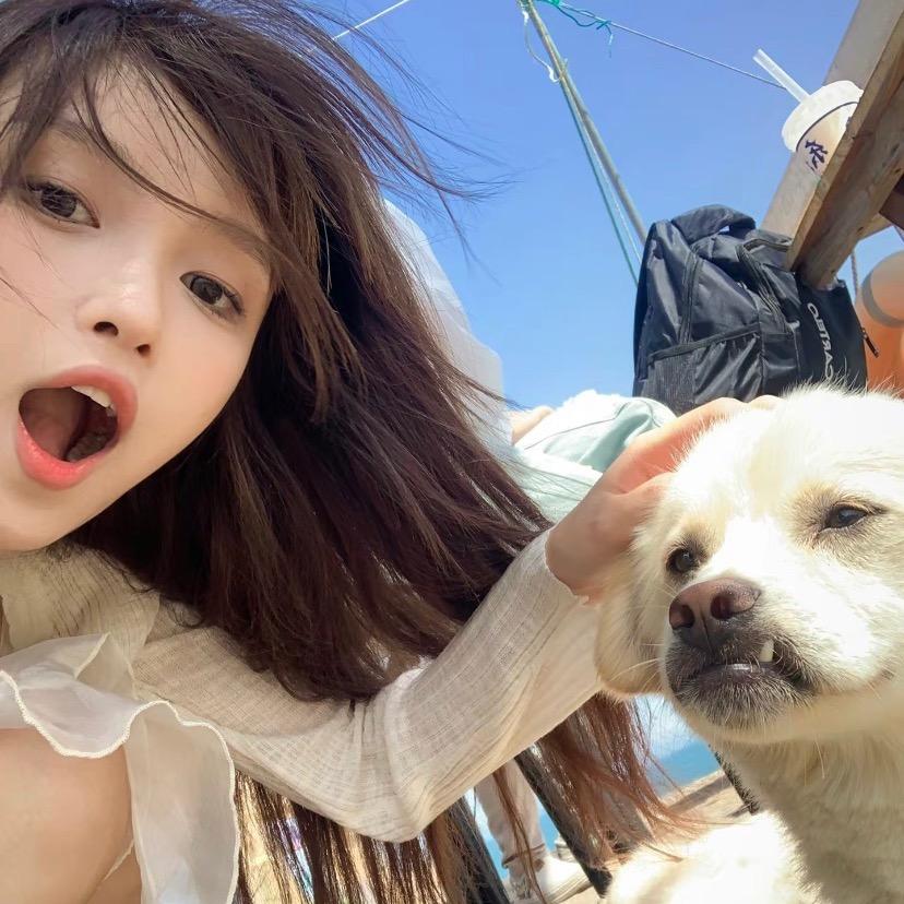 鲸